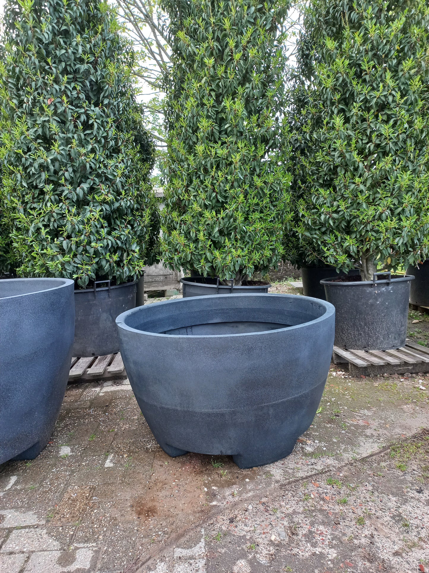 Megalos exclusive pot antraciet